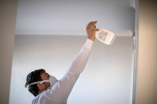 Best Commercial Mold Remediation in Shiloh, PA